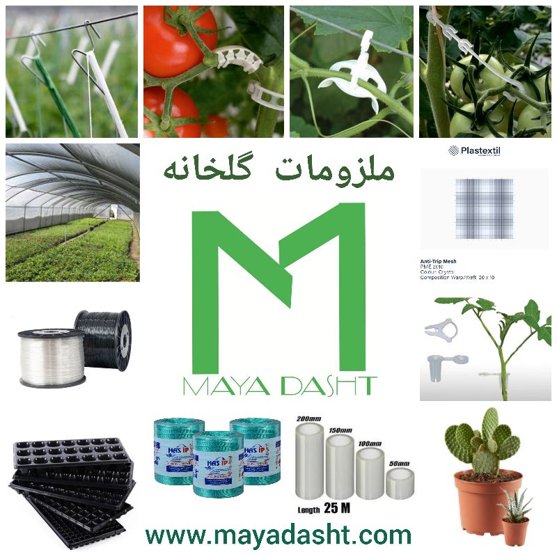 شرکت مایادشت سامان