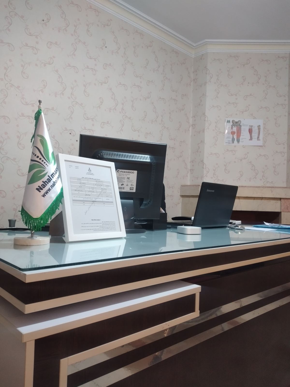 شرکت نهال ماساژ (شعبه مسعودیه)