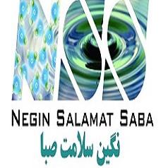 شرکت نگین سلامت صبا