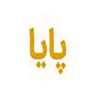 شرکت پایا