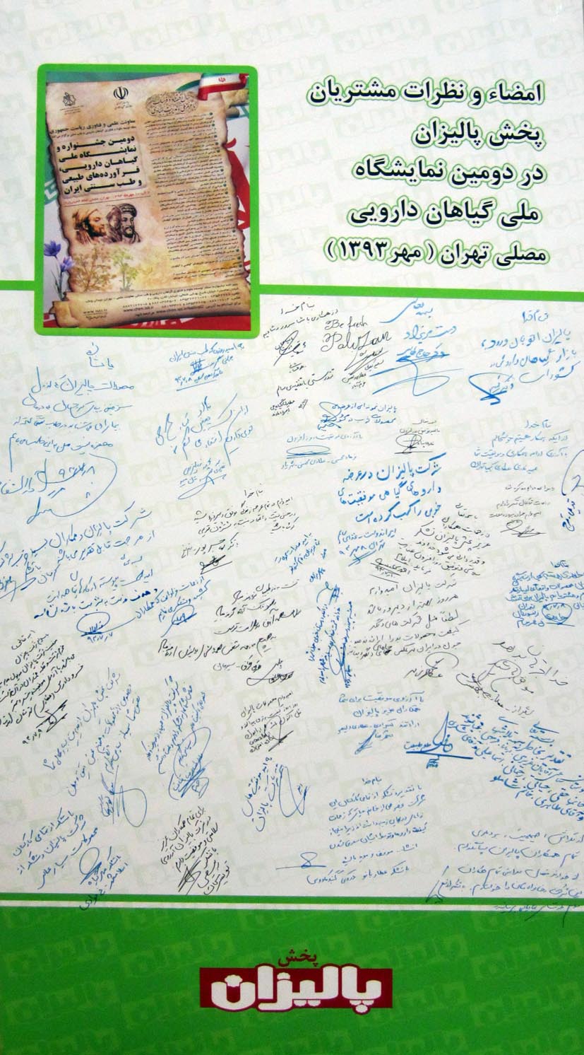 شرکت پخش پالیزان