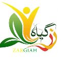 شرکت پردیس ایرانیان