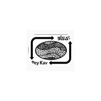 شرکت پی کاو