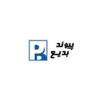 شرکت پیوند بدیع