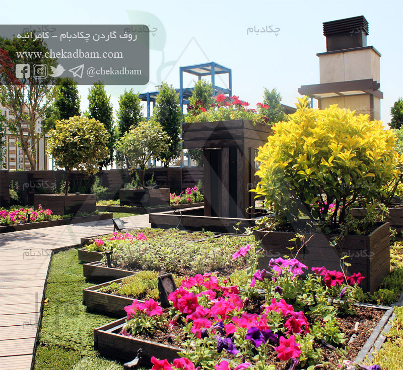 شرکت چکادبام