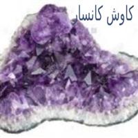 شرکت کاوش کانسار