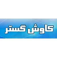 شرکت کاوش گستر