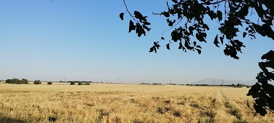 شهرداری احمد آباد مستوفی