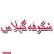 شکوفه گیلاس