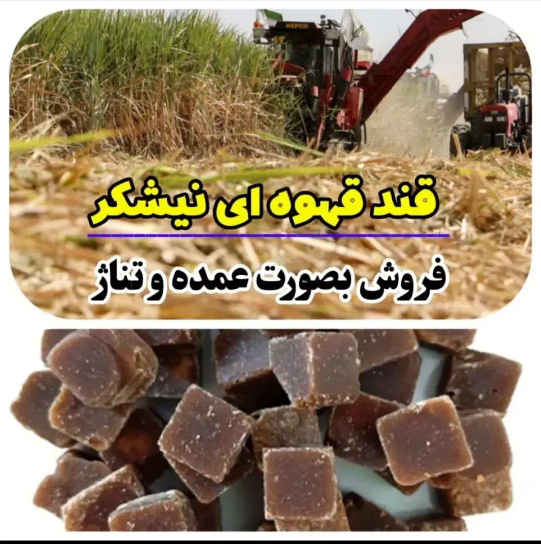 شیره سرای ناب استان مرکزی