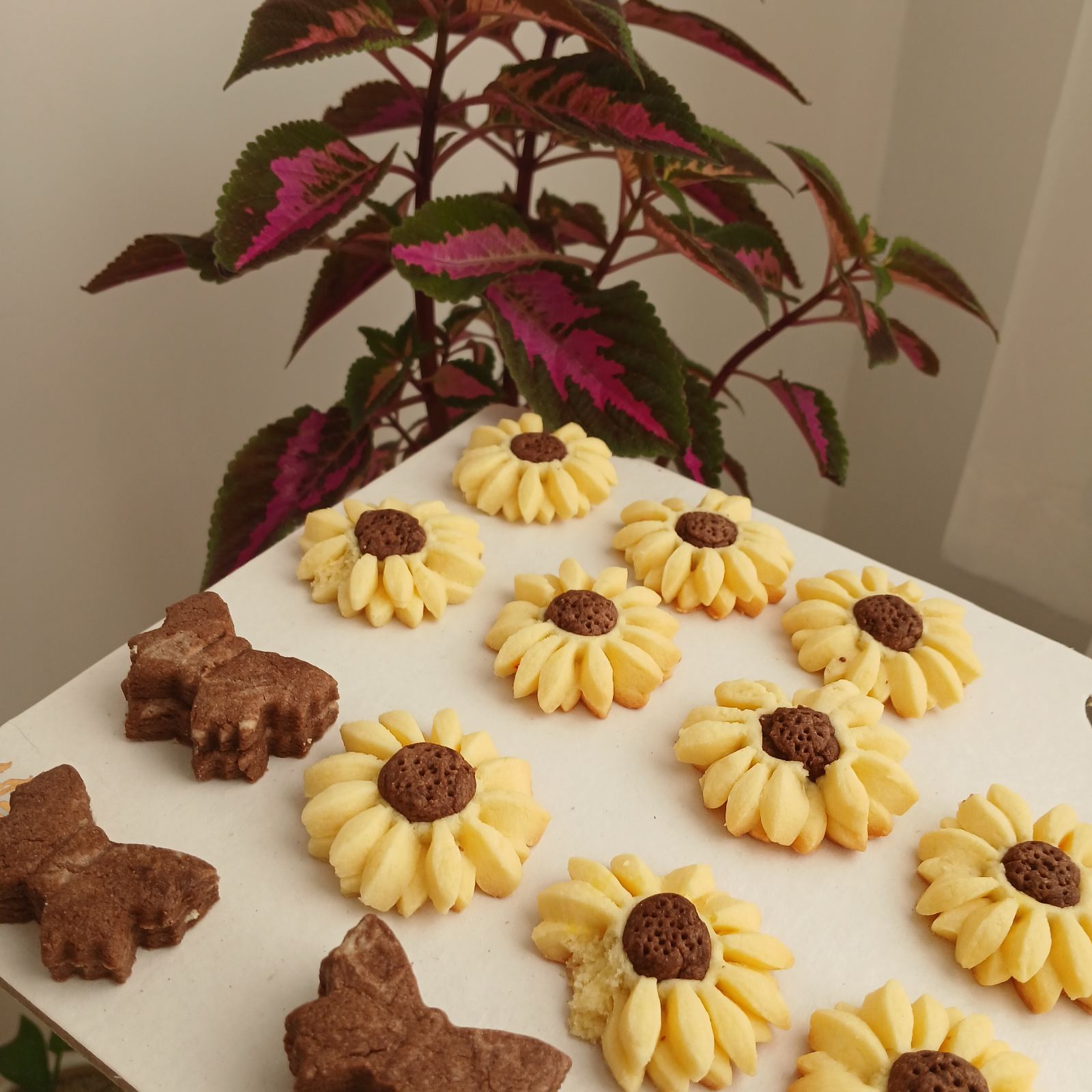 شیرینی رز سفید