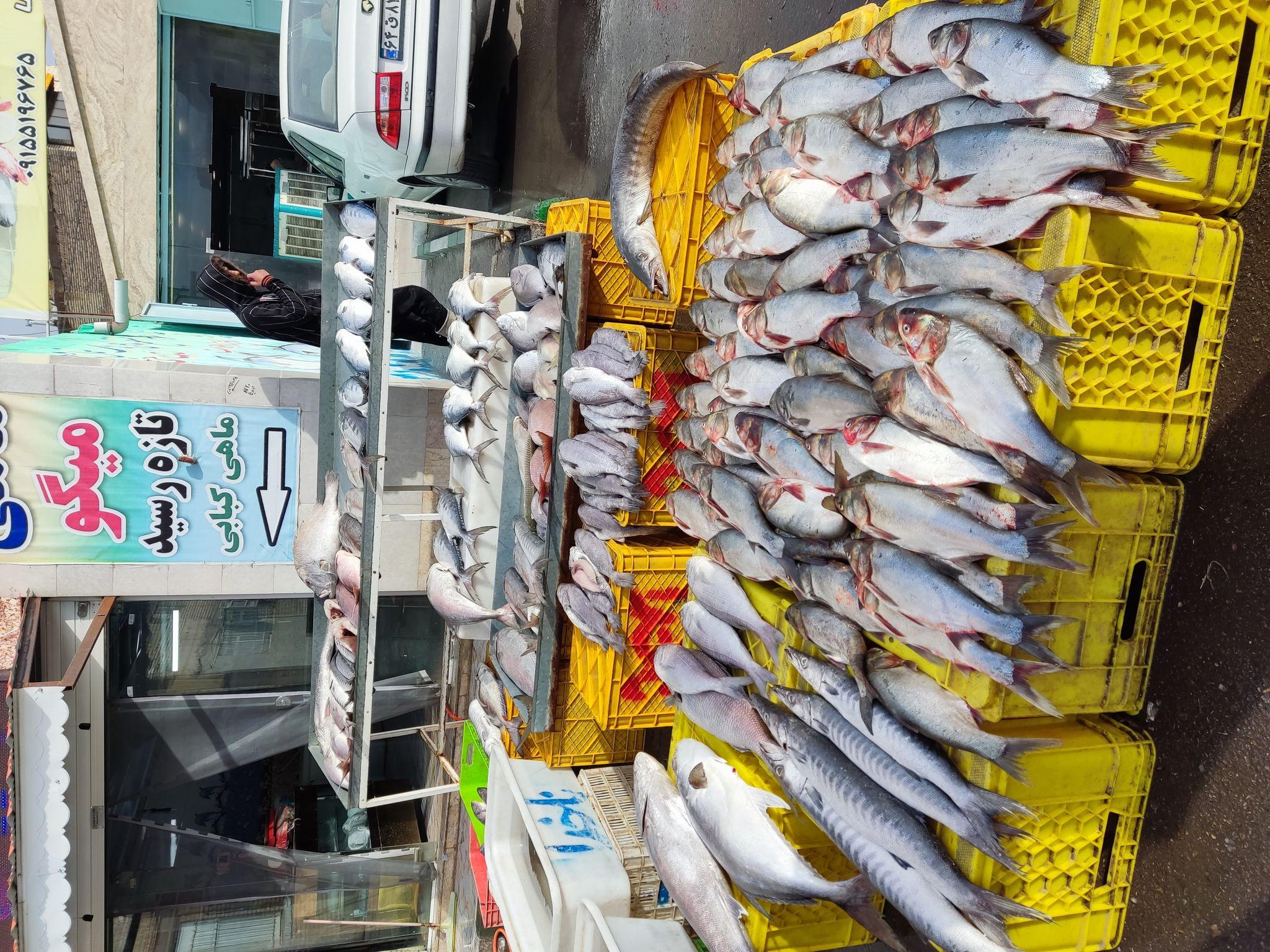 شیلات ناخدا کرمی