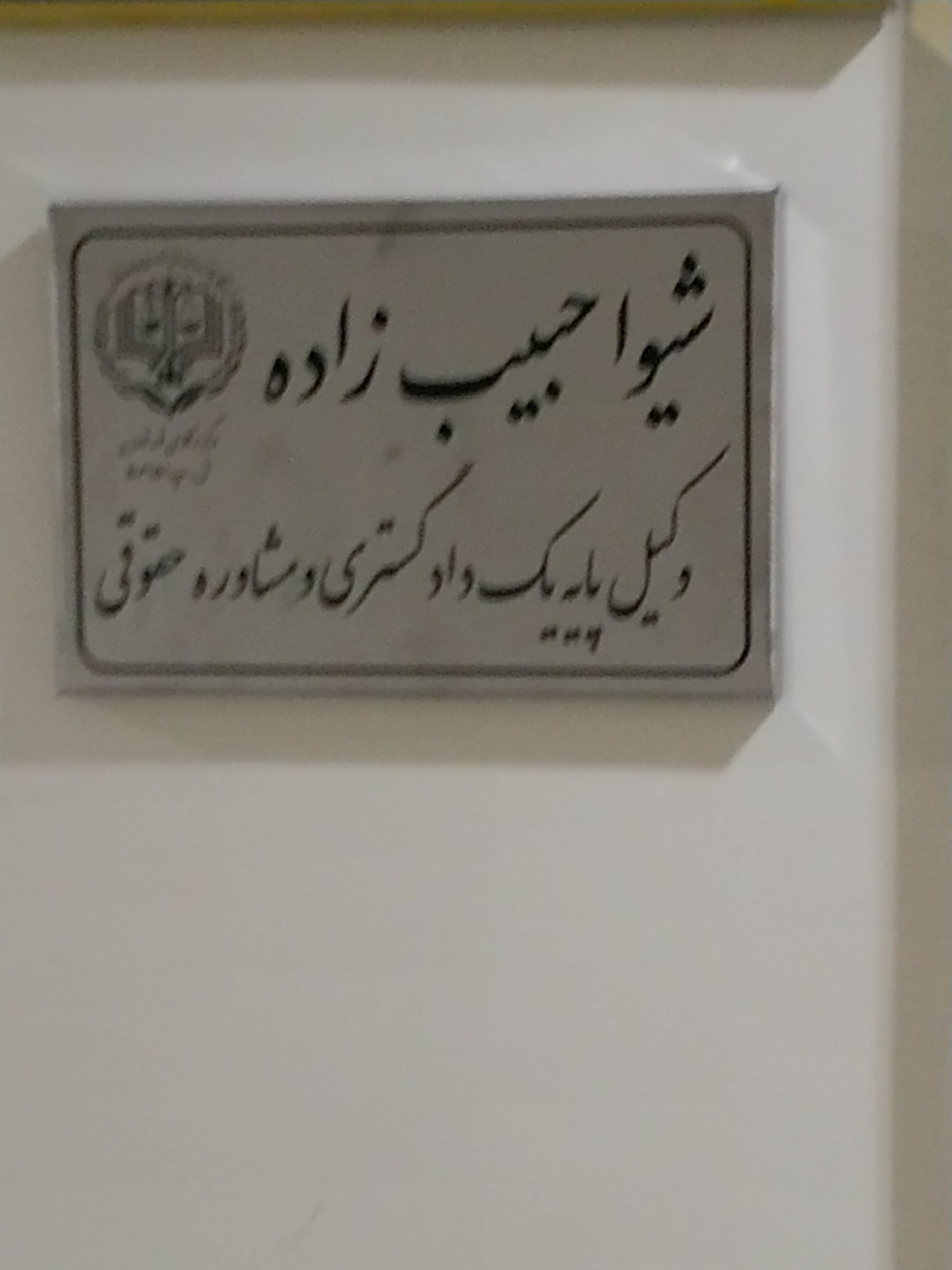 شیوا حبیب زاده وکیل پایه یک دادگستری