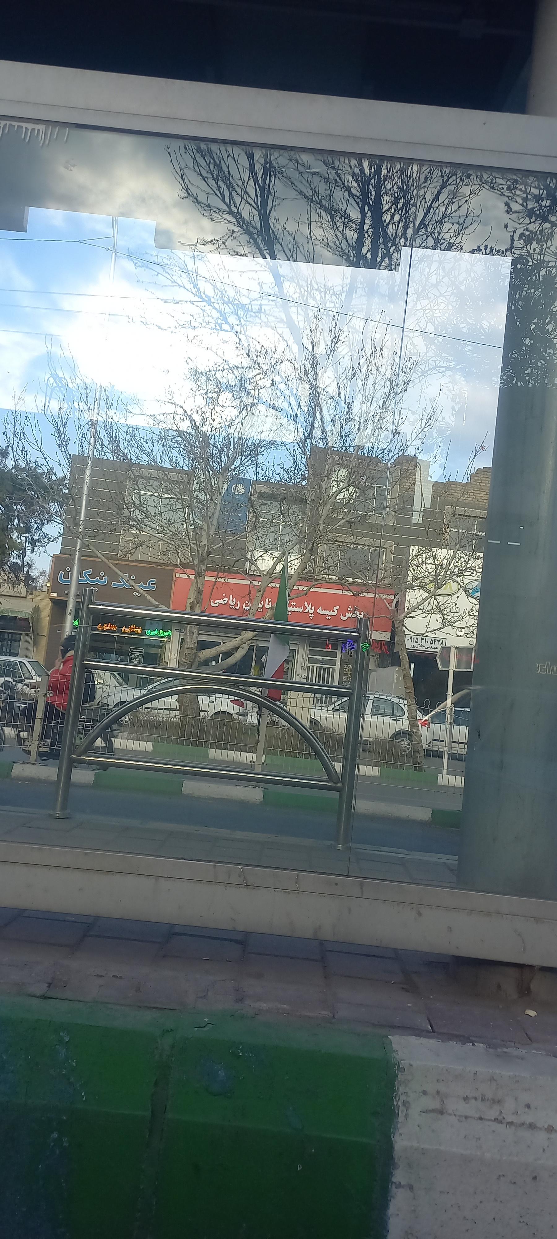 شیک پلاست
