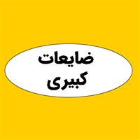 ضایعات کبیری