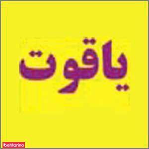 طراحی و هاشور ابرو یاقوت