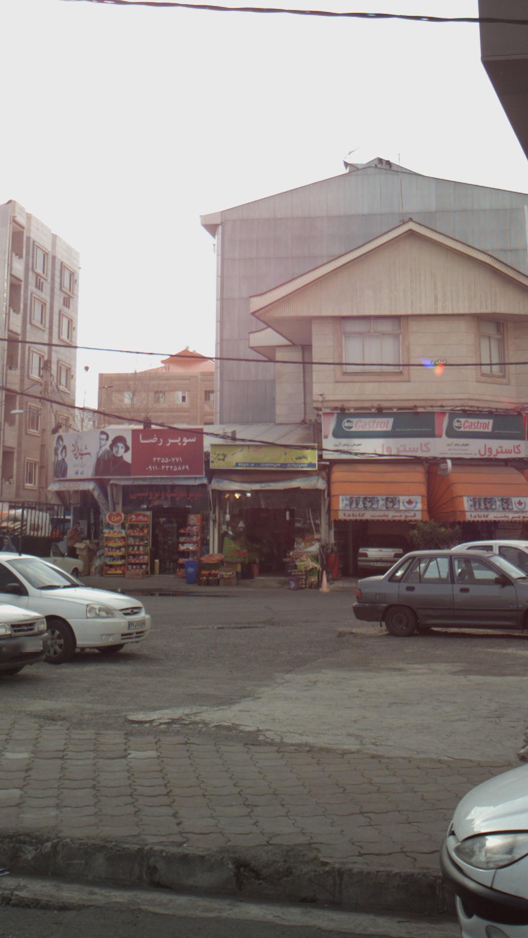 عرضه میوه مرتضی