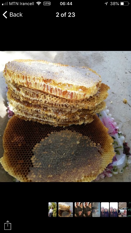 عسل ارگانیک آویشن اورامان