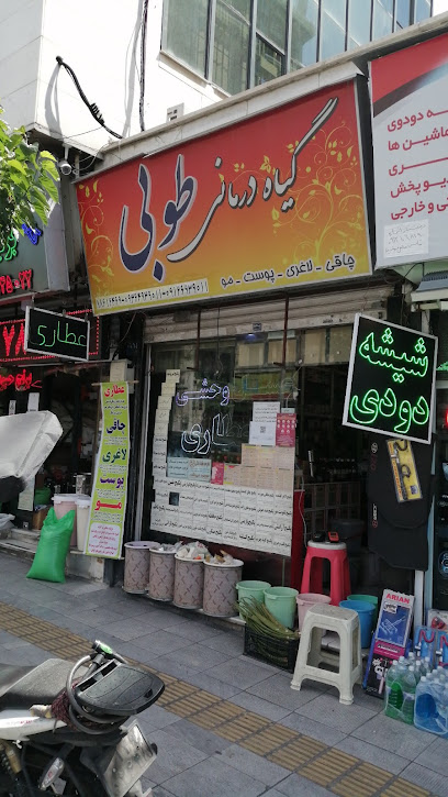 عطاری اکسیر حیات طوبی