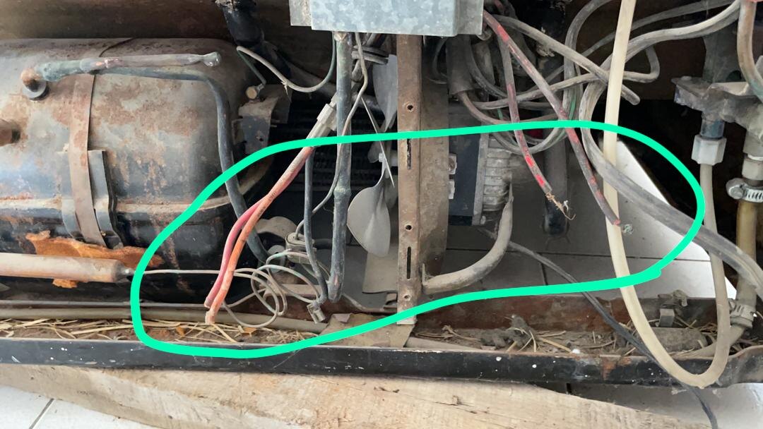 فرزاد آزاد خیابانی
