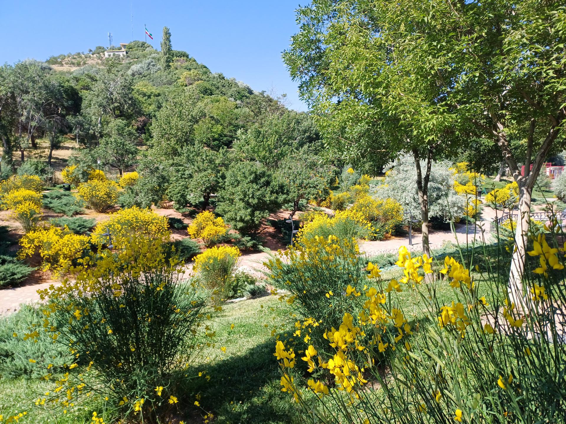 فرشتگان