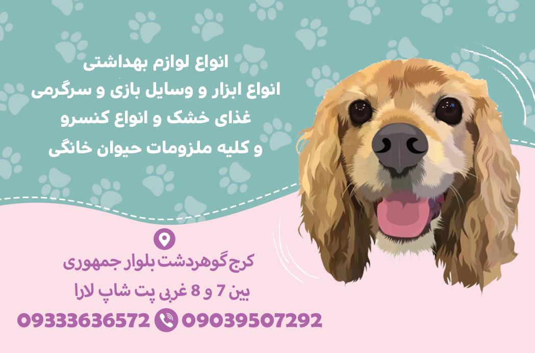 فروشگاه باغ پرندگان