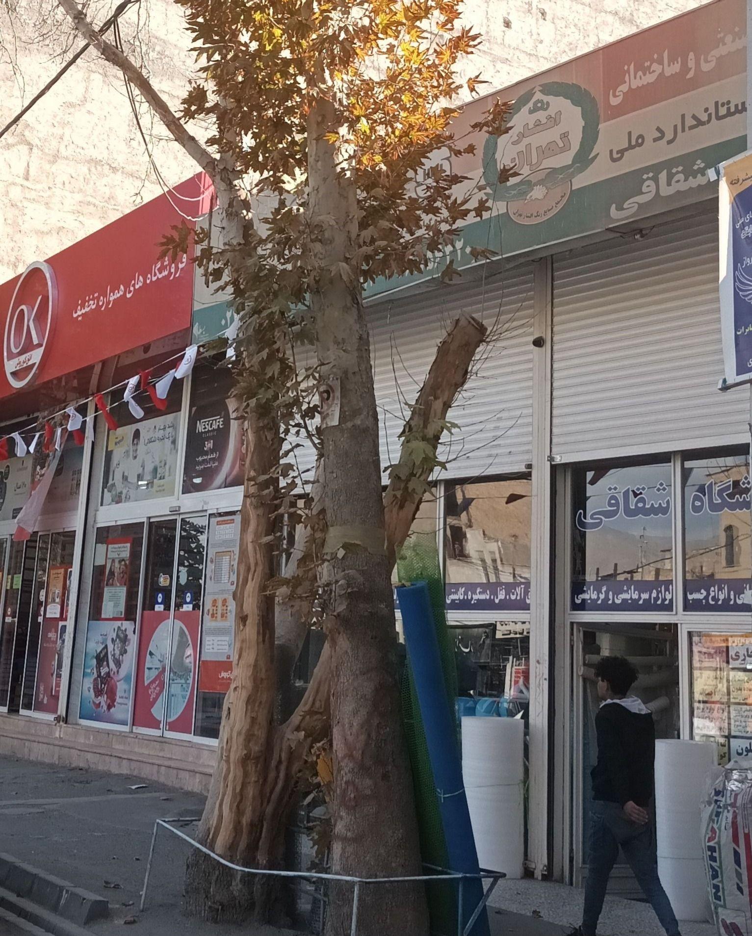 فروشگاه صنعت ساختمانی شقاقی
