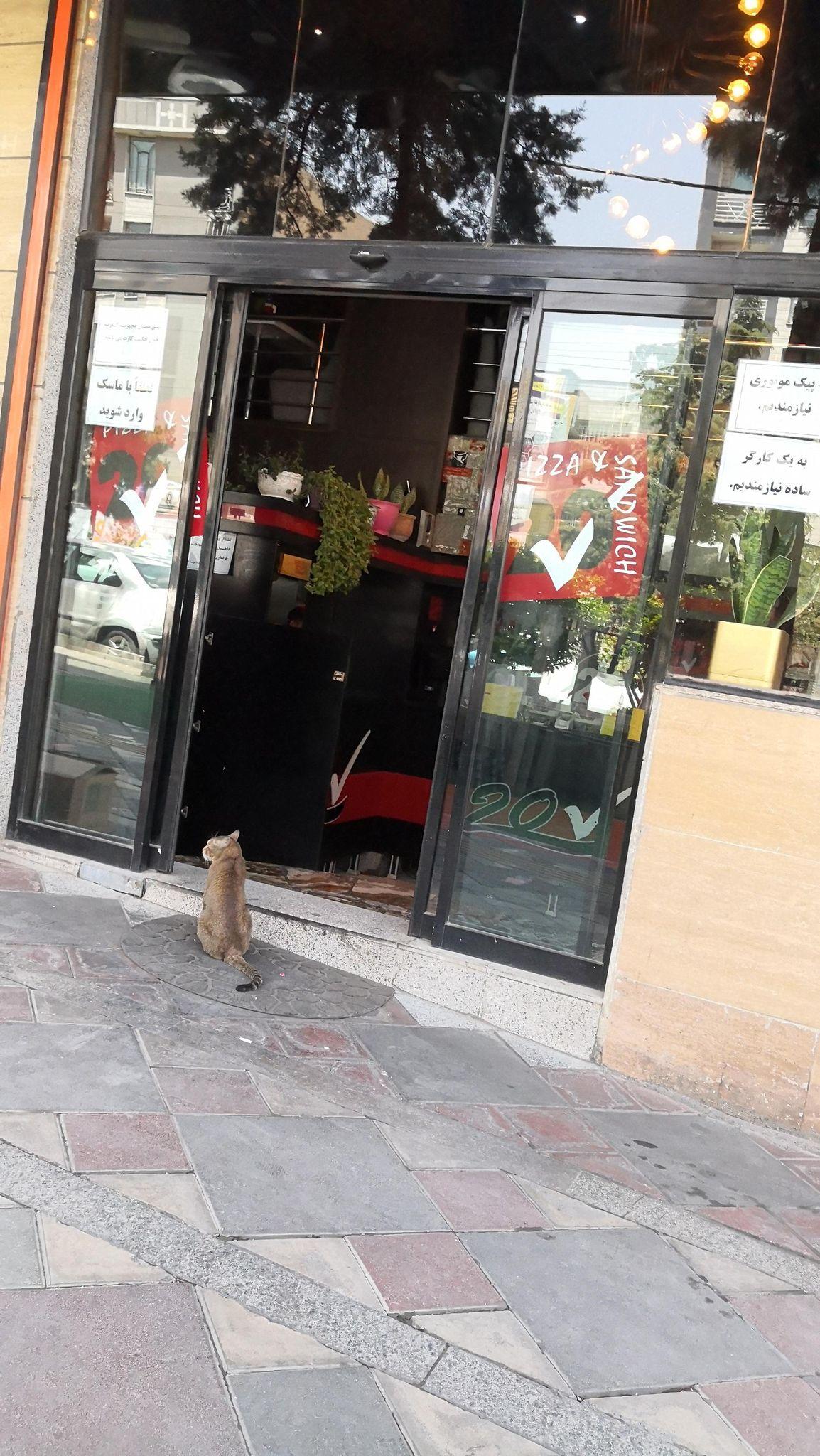 فست فود بیست تیک