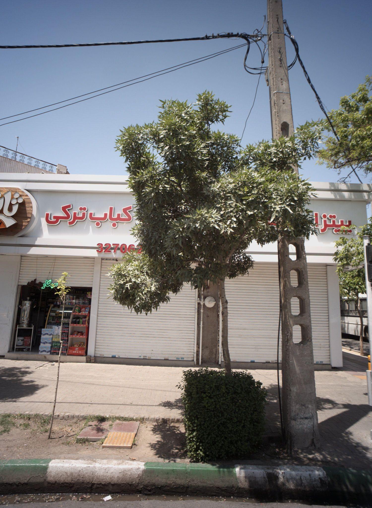 فست فود ثانی