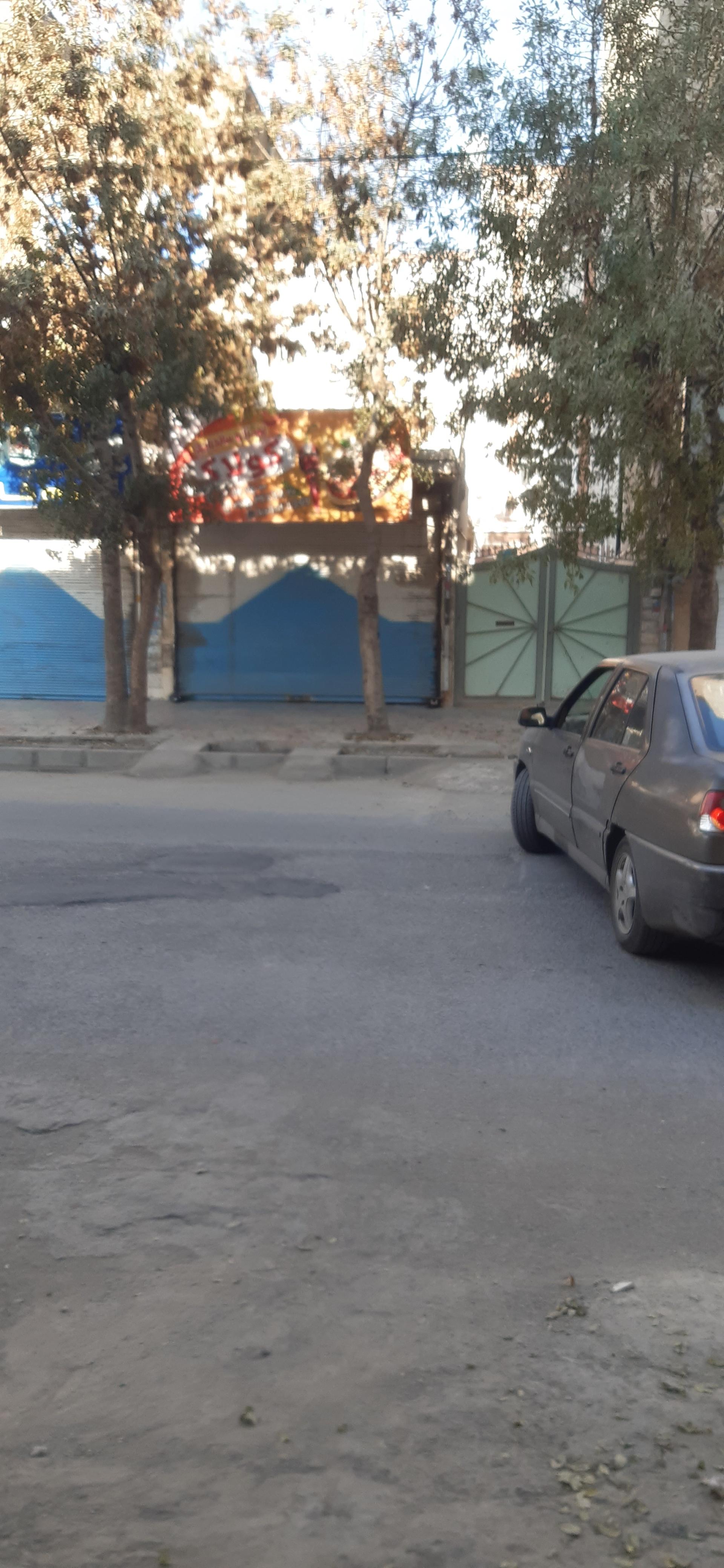 فست فود دانیال