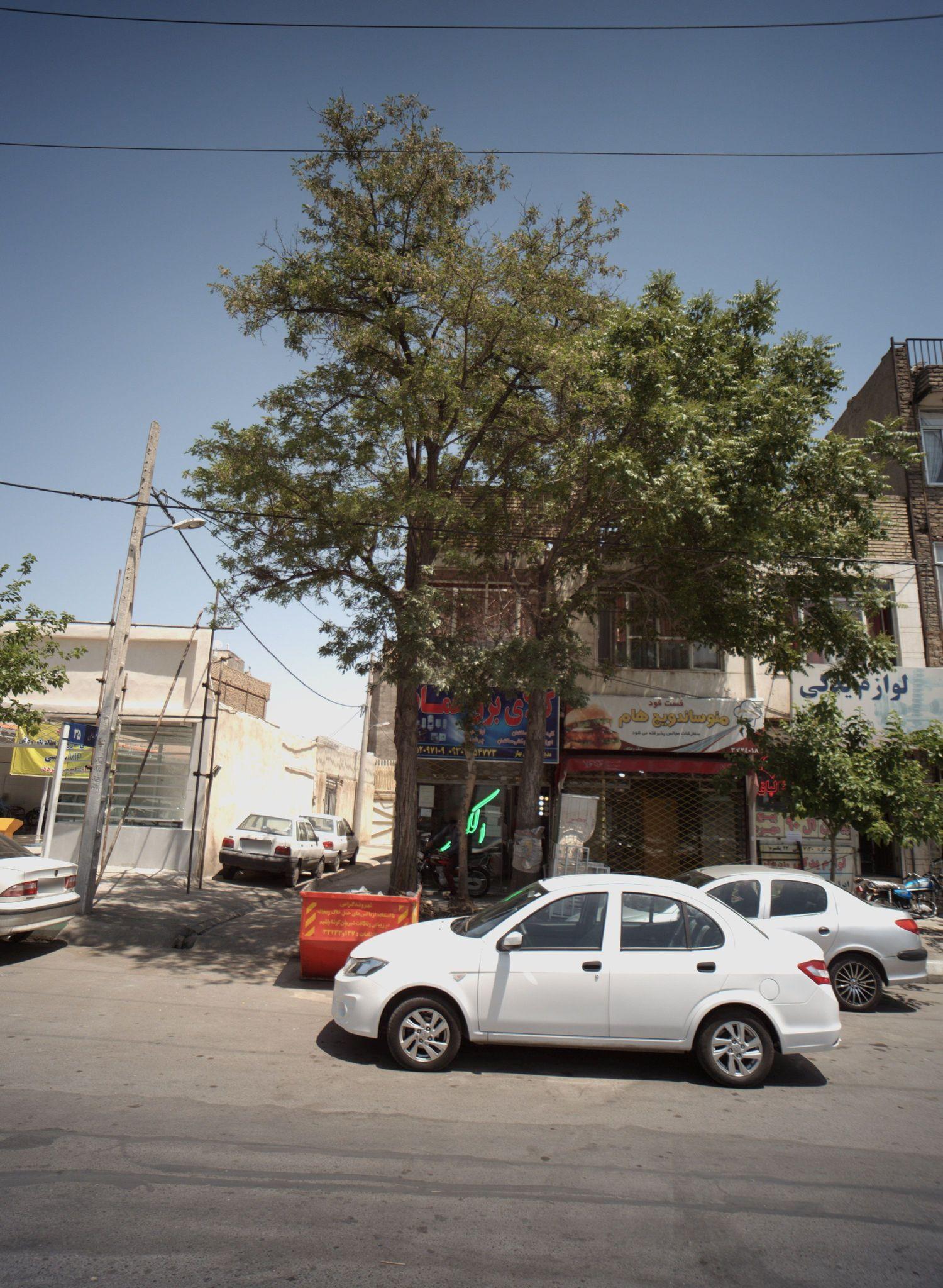 فست فود منو ساندویچ هام هام
