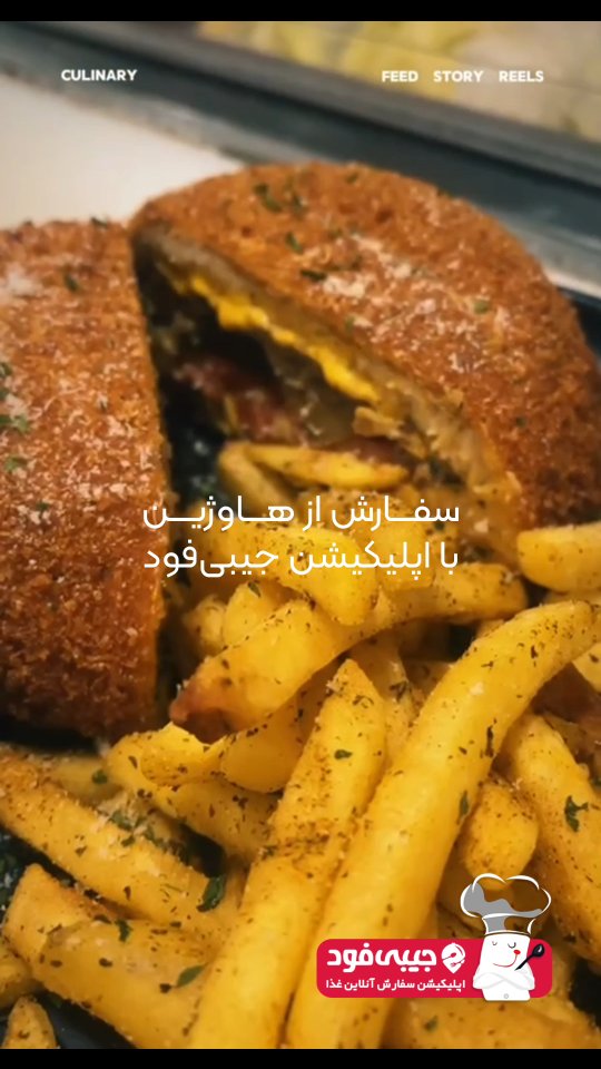 فست فود هاوژین