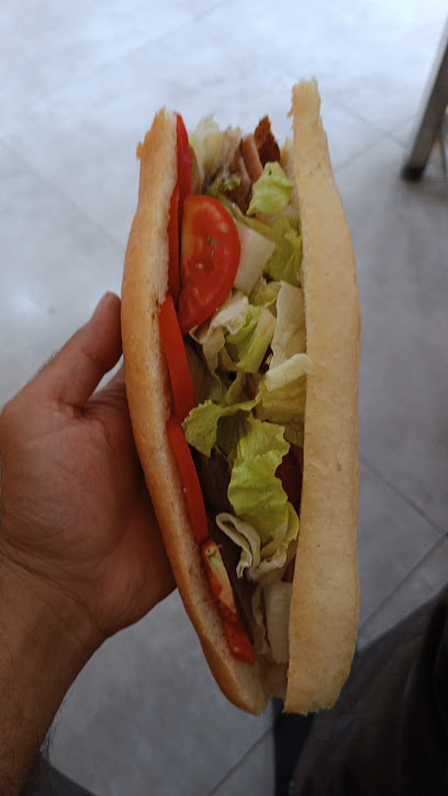 فست فودفلاویچ