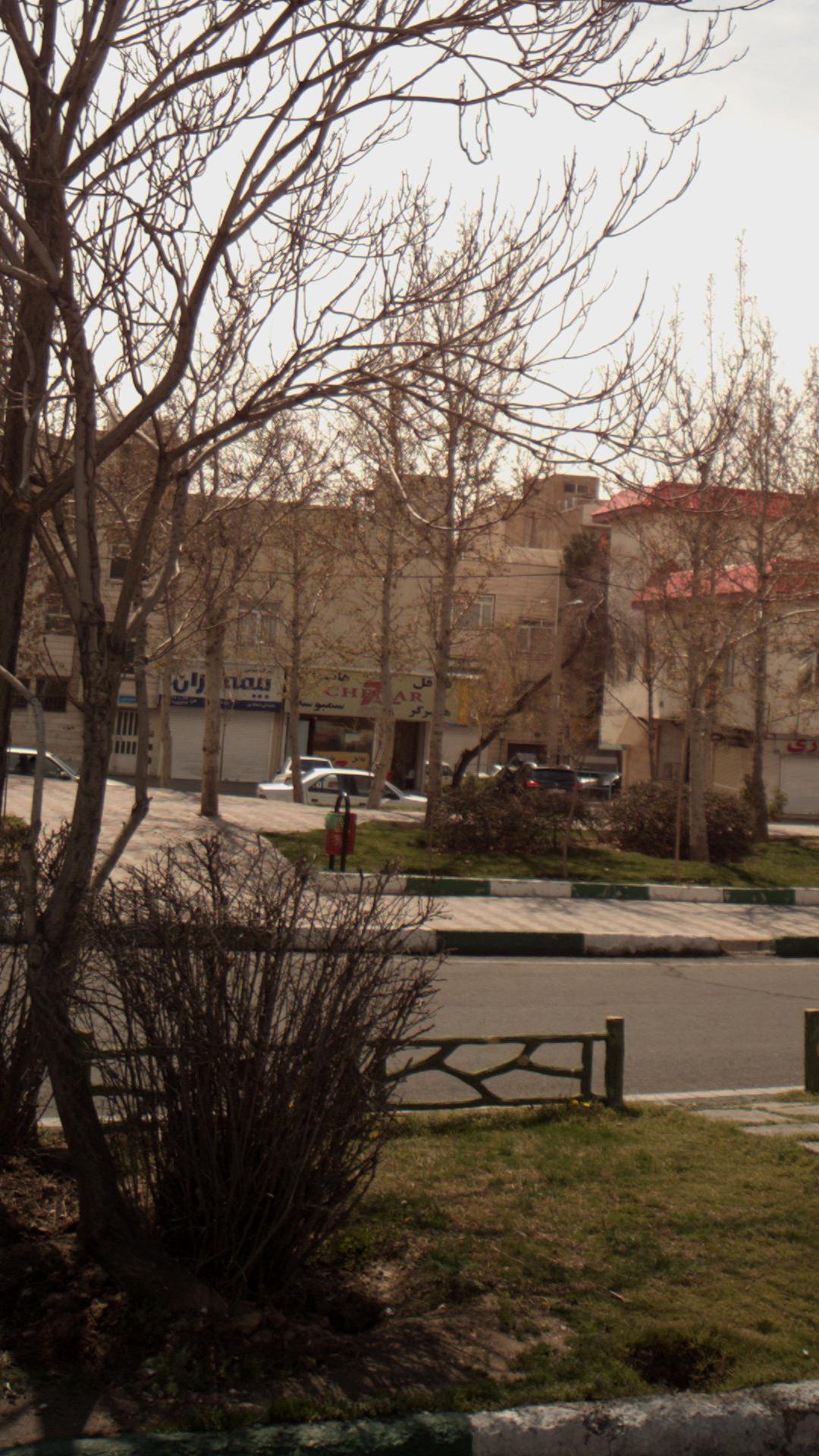 فلافل همبرگر سمبوسه