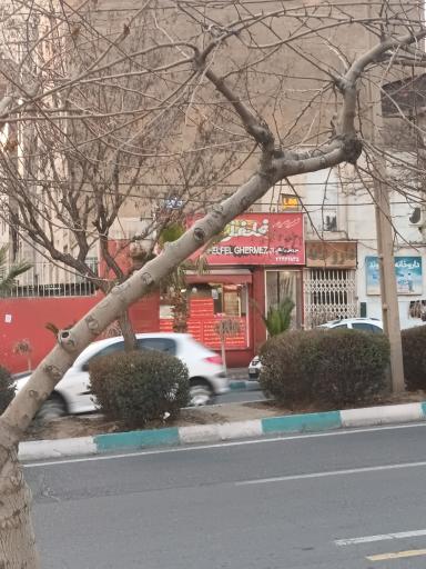 فلفل قرمز