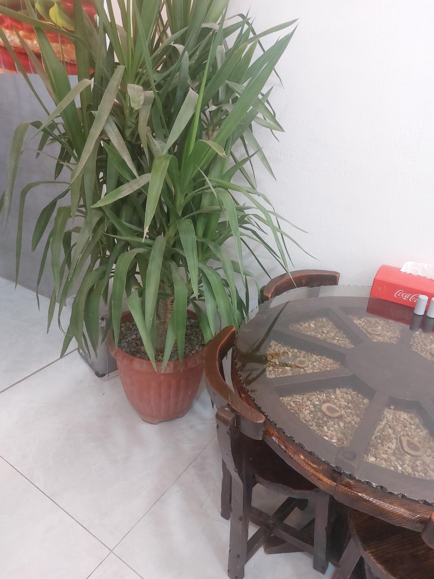فود کیلویی گوهردشت