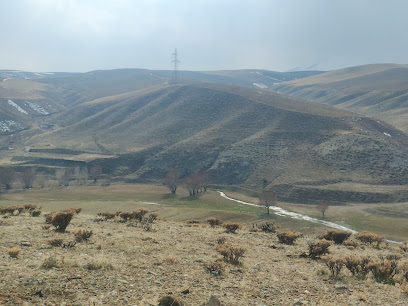 قاب سازی و تولیدی محمود