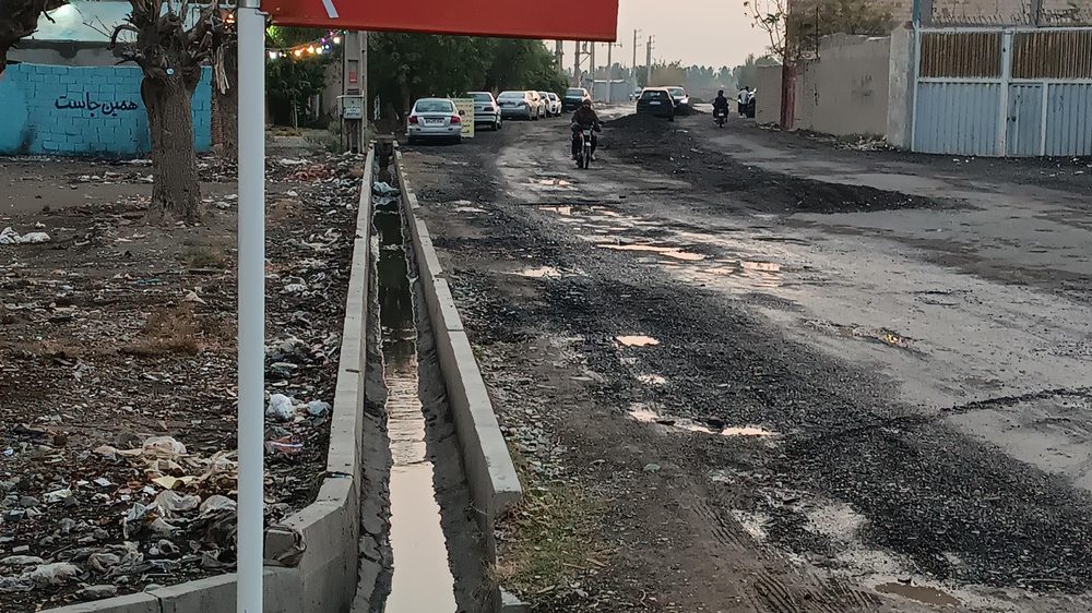 قالی شویی صنوبر