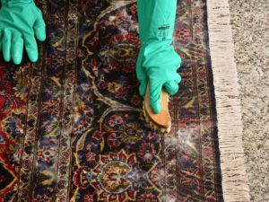 قالیشویی افتابگردان