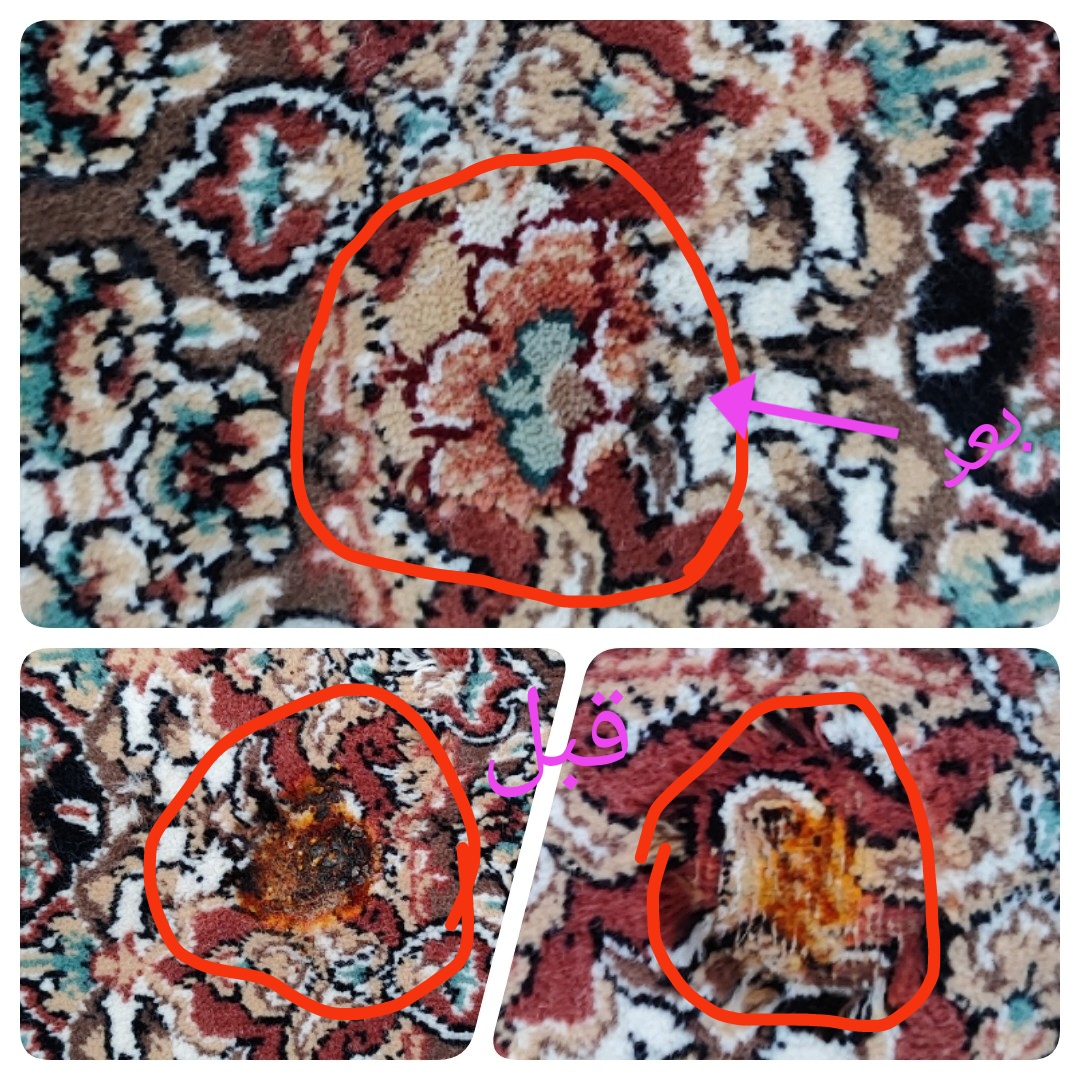 قالیشویی امیری