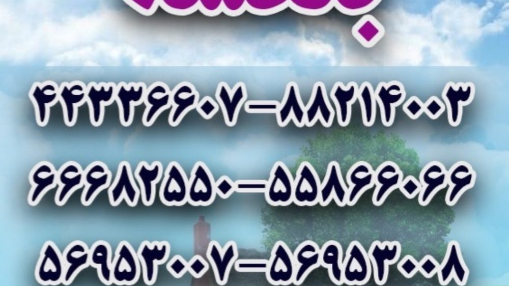 قالیشویی بنفشه