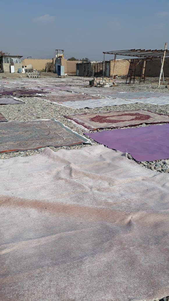 قالیشویی علیمرادی