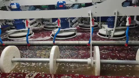 قالیشویی فرش لاکی