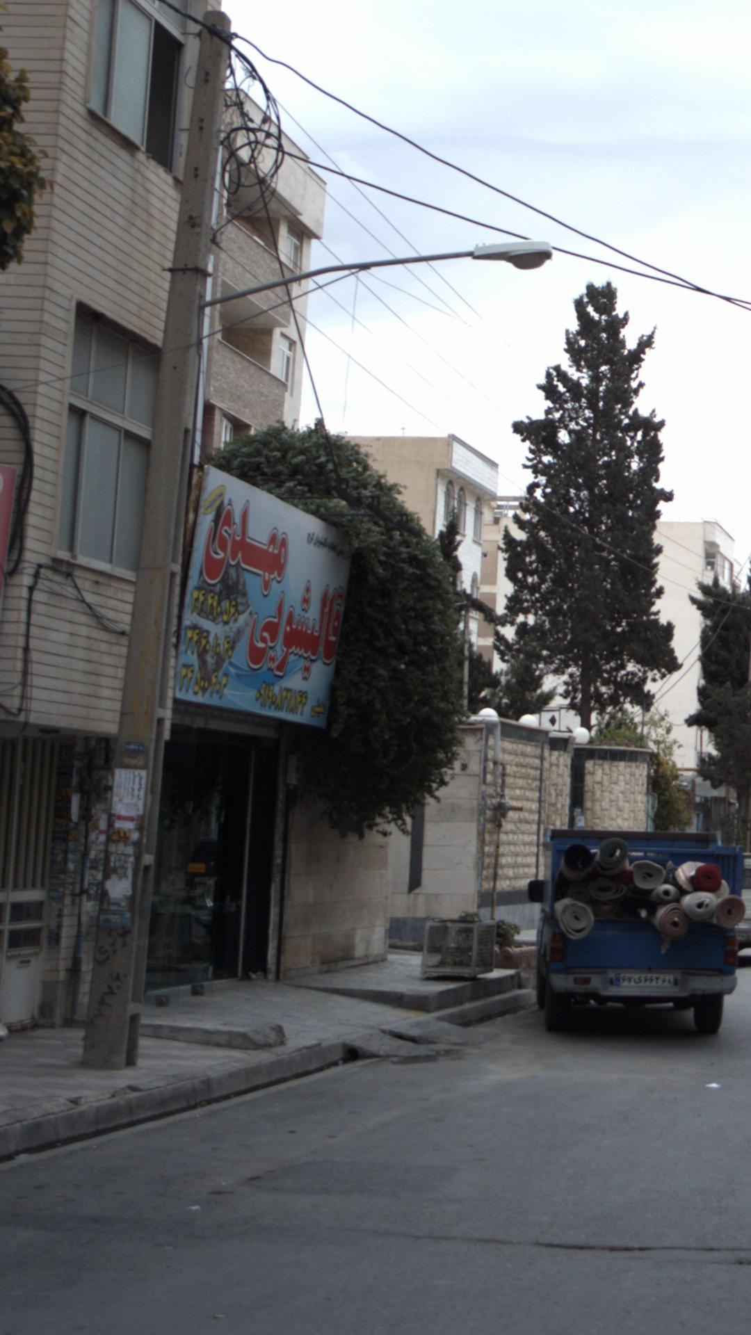 قالیشویی مهدی
