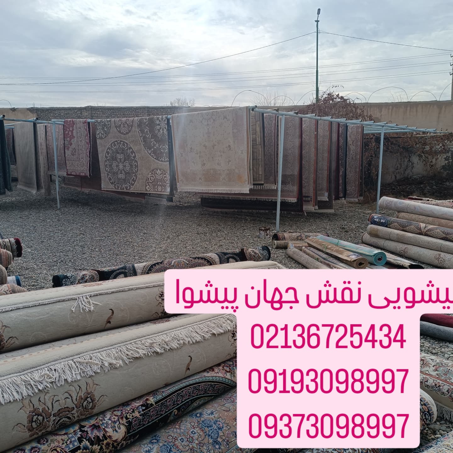 قالیشویی نقش جهان پیشوا