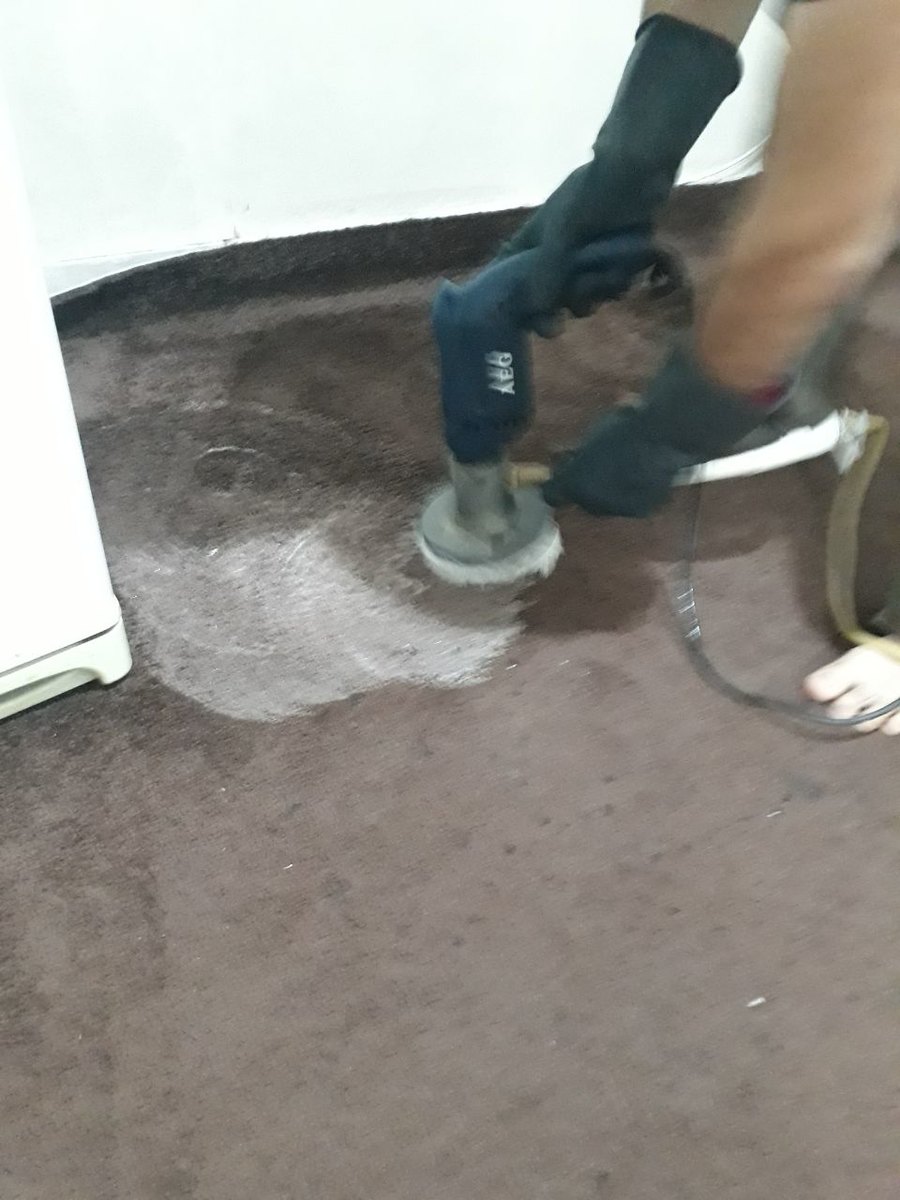 قالیشویی پاک