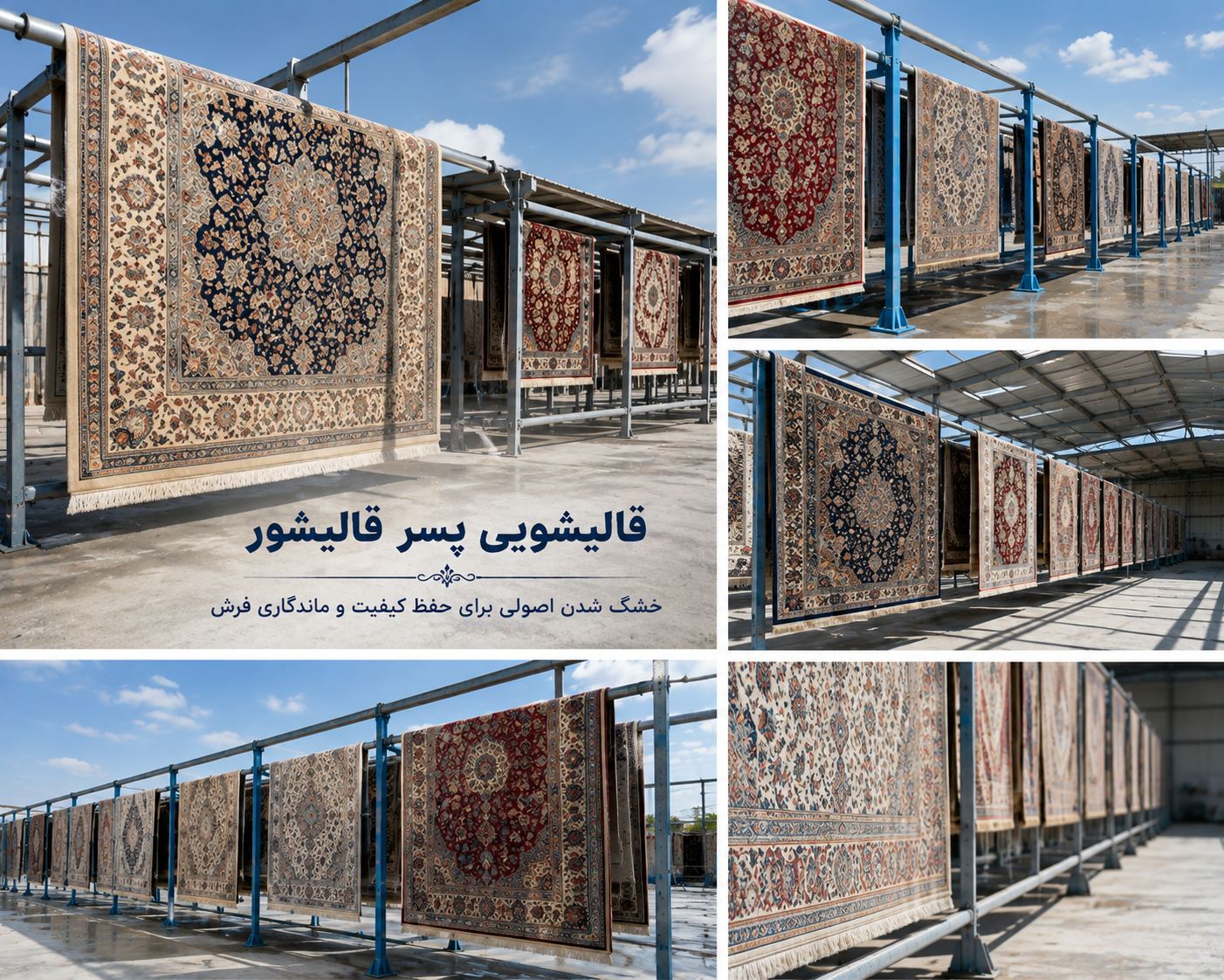 قالیشویی پسر قالیشور
