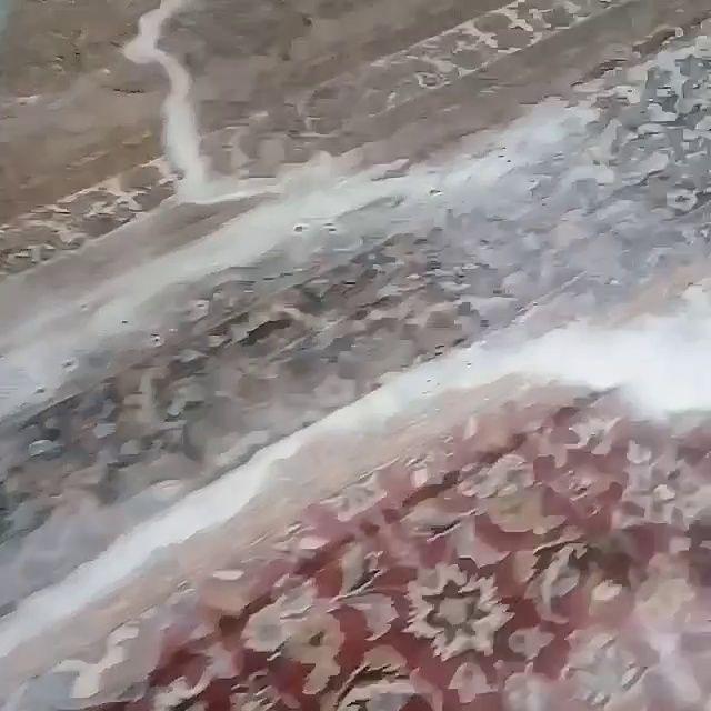 قالیشویی۱۱۰رجبی