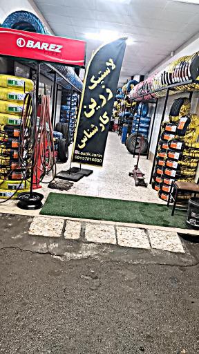 لاستیک زرین (کارشناس)