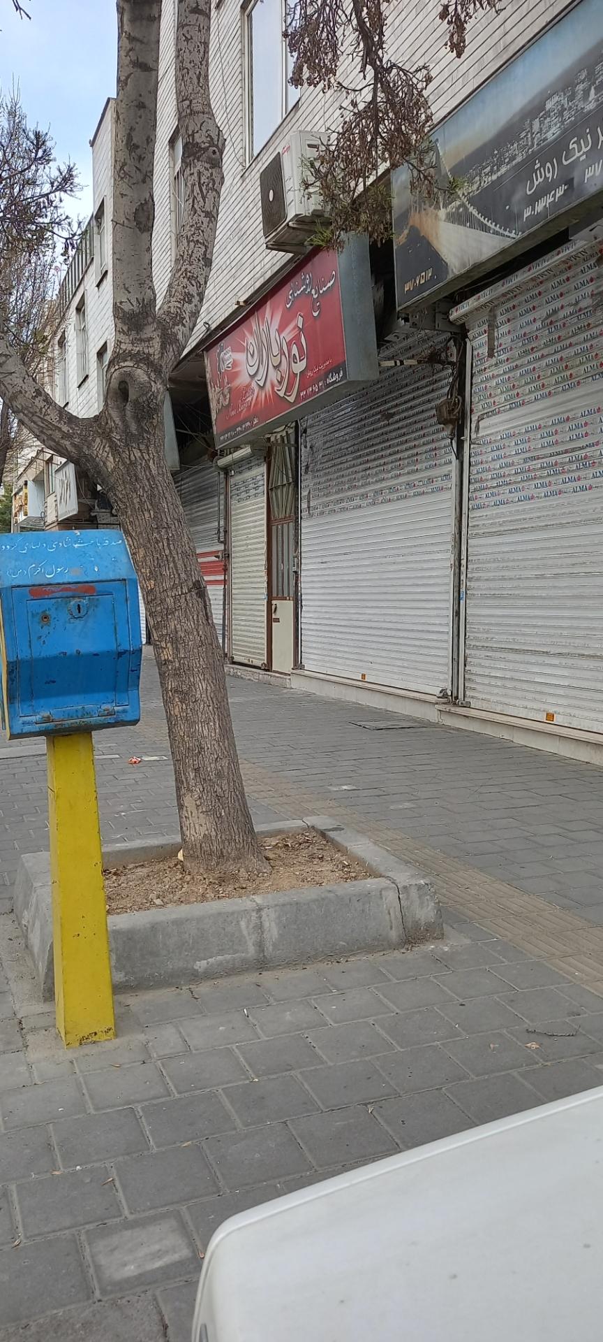 لوستر همتی